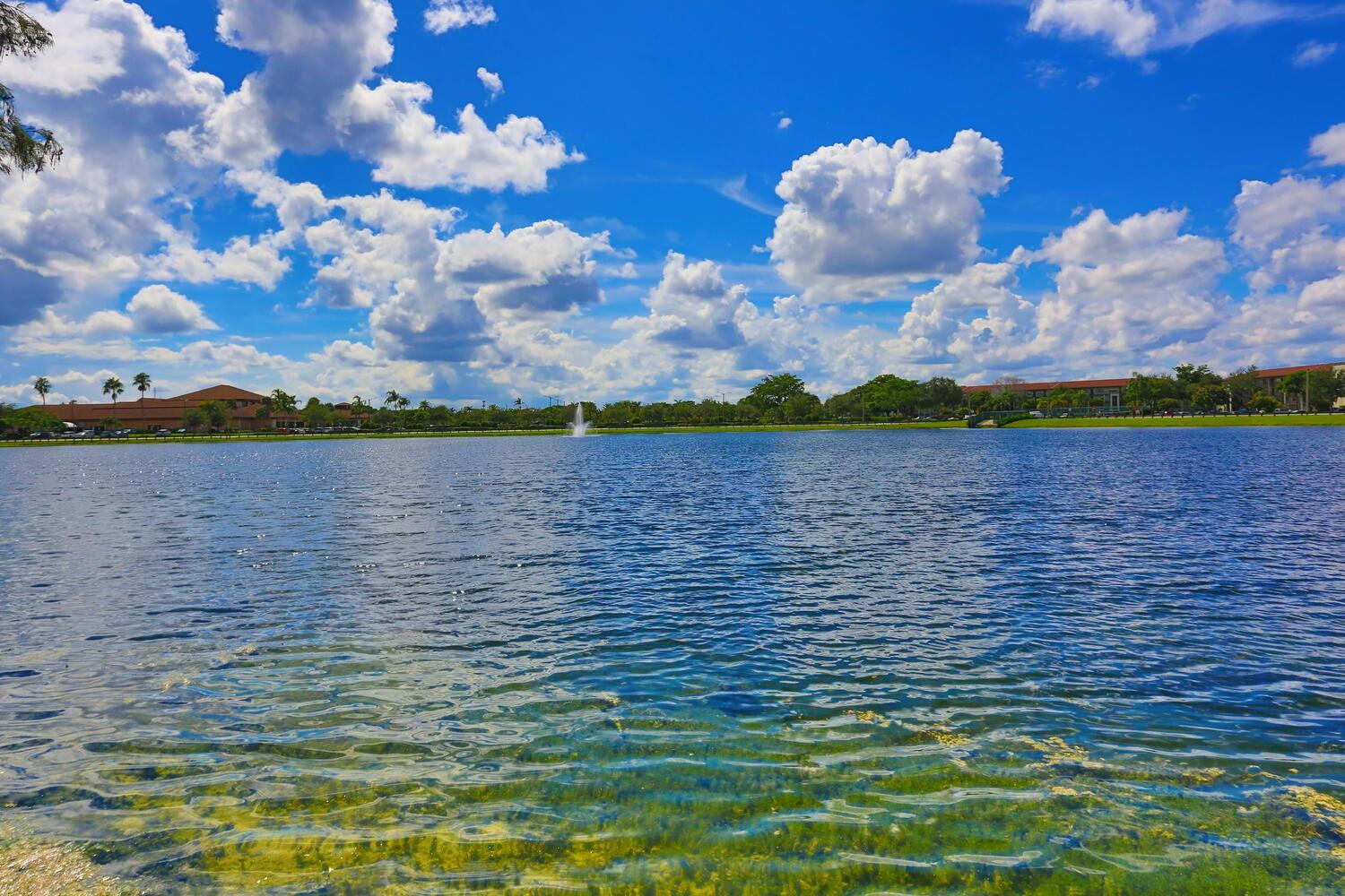 CENTURY VILLAGE - Residential