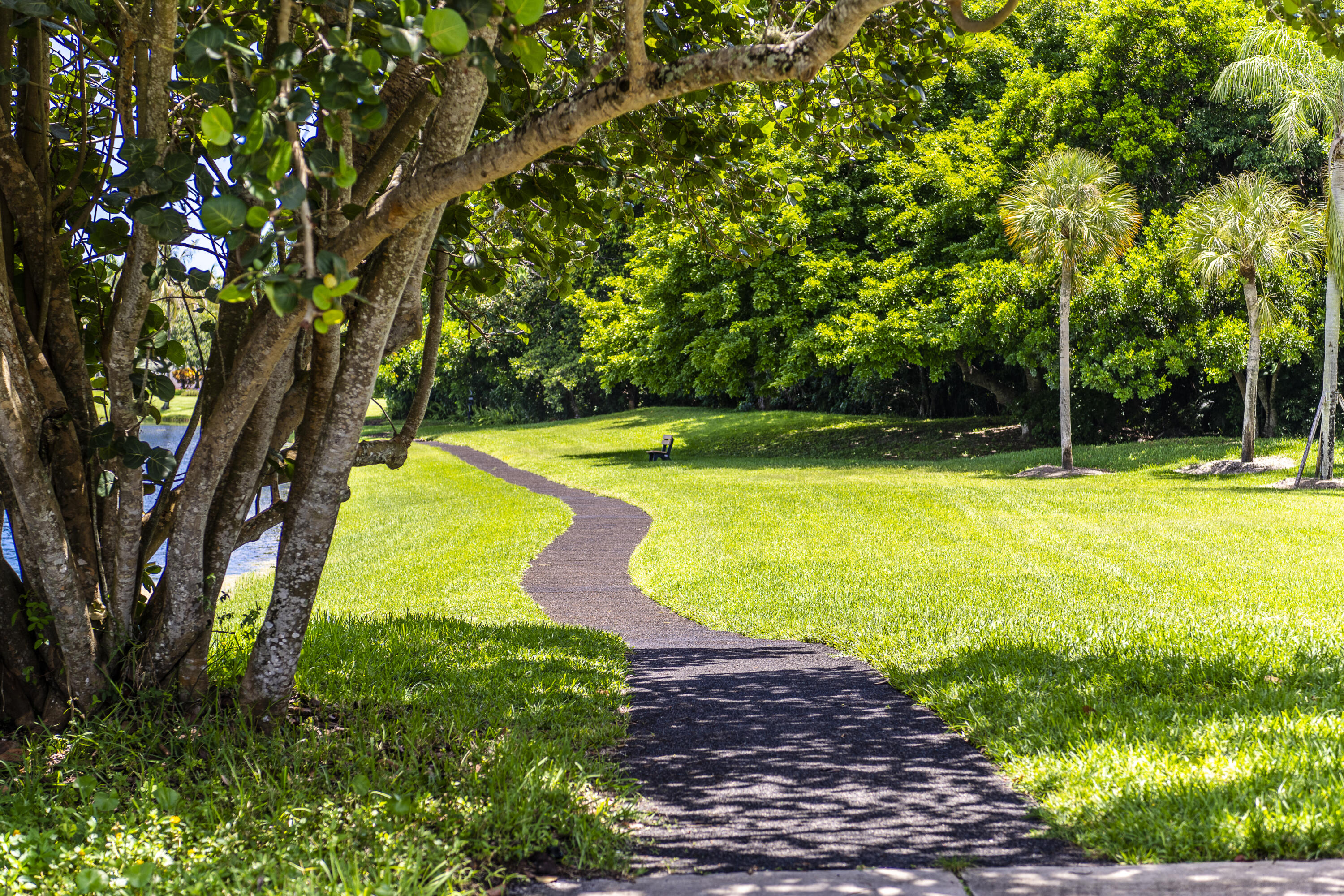 CYPRESS HEAD - Residential