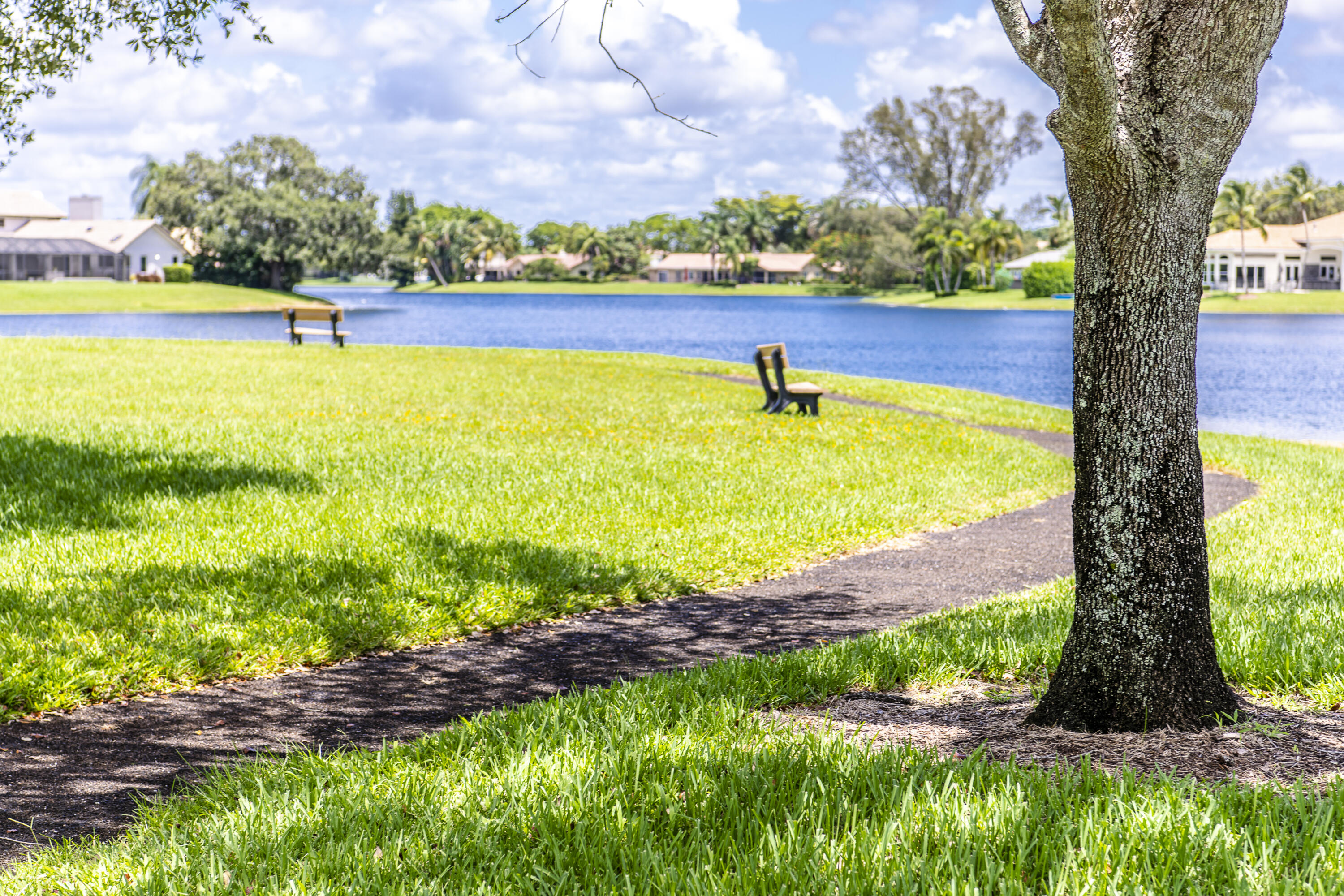 CYPRESS HEAD - Residential