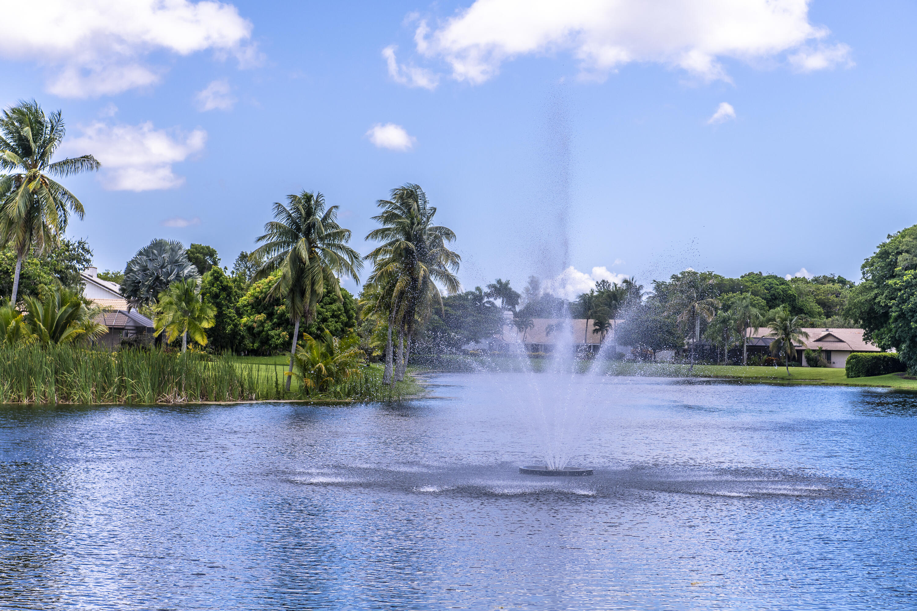 CYPRESS HEAD - Residential