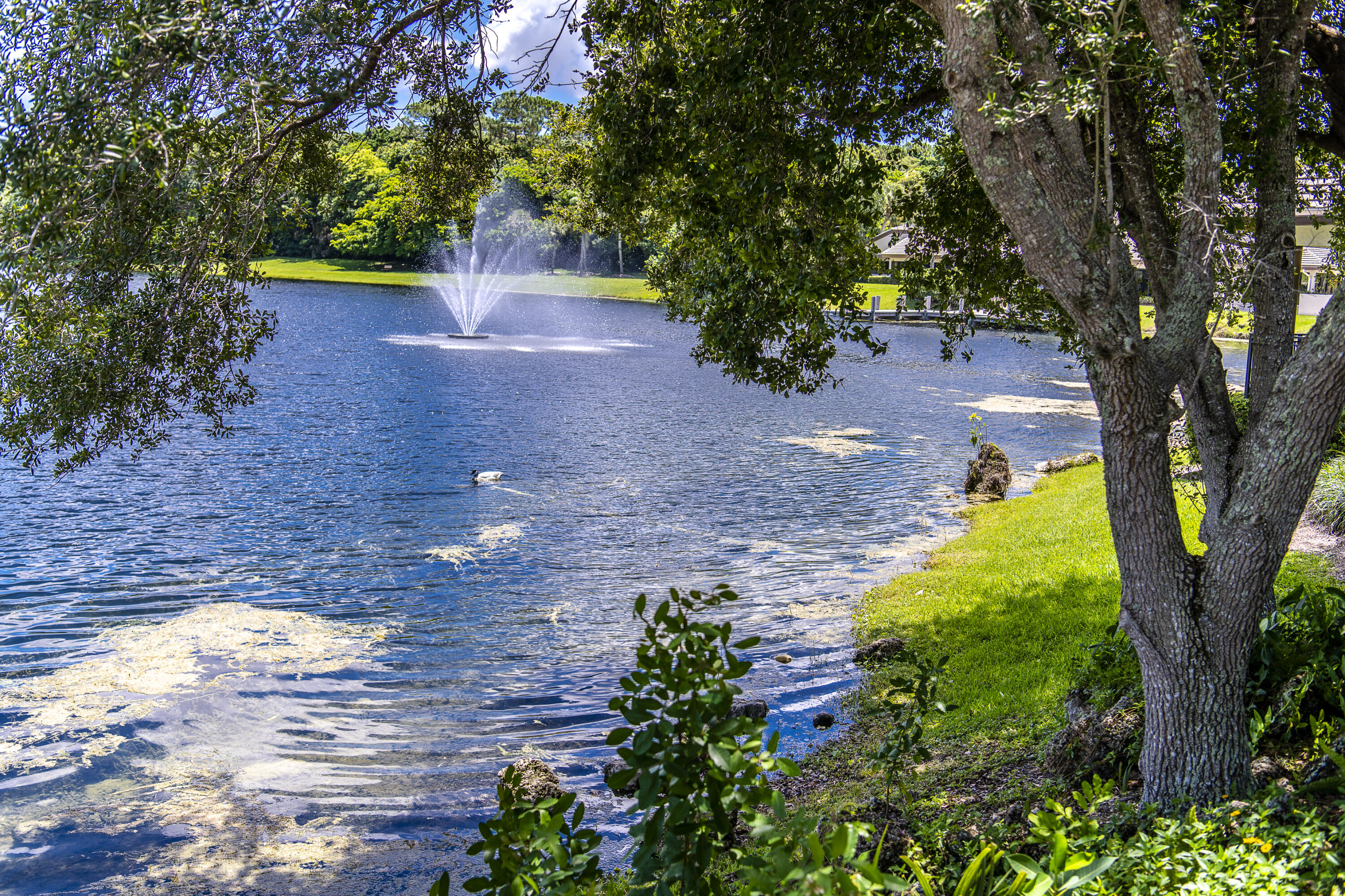 CYPRESS HEAD - Residential