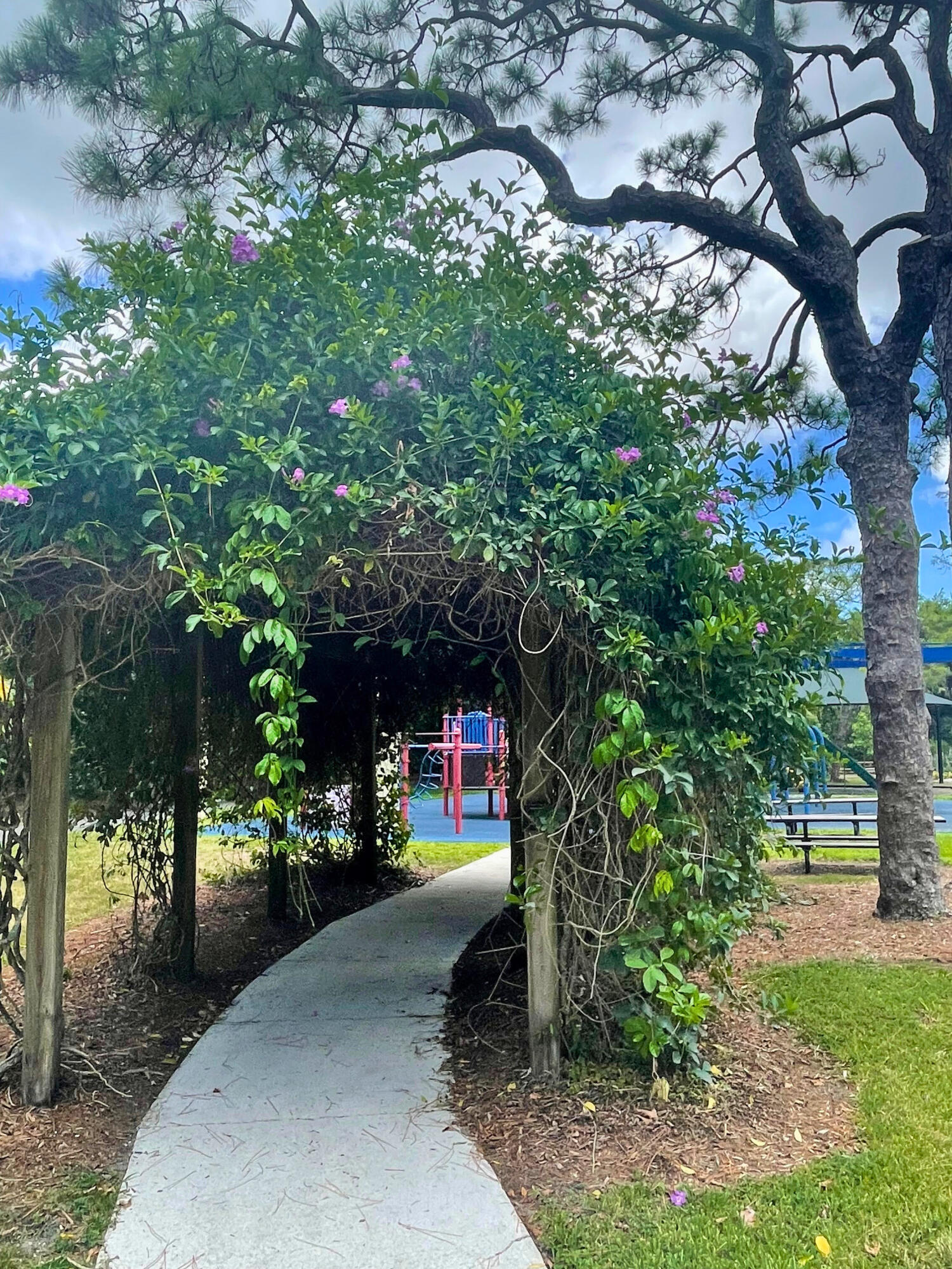 RACQUET CLUB OF DEER CREEK - Residential