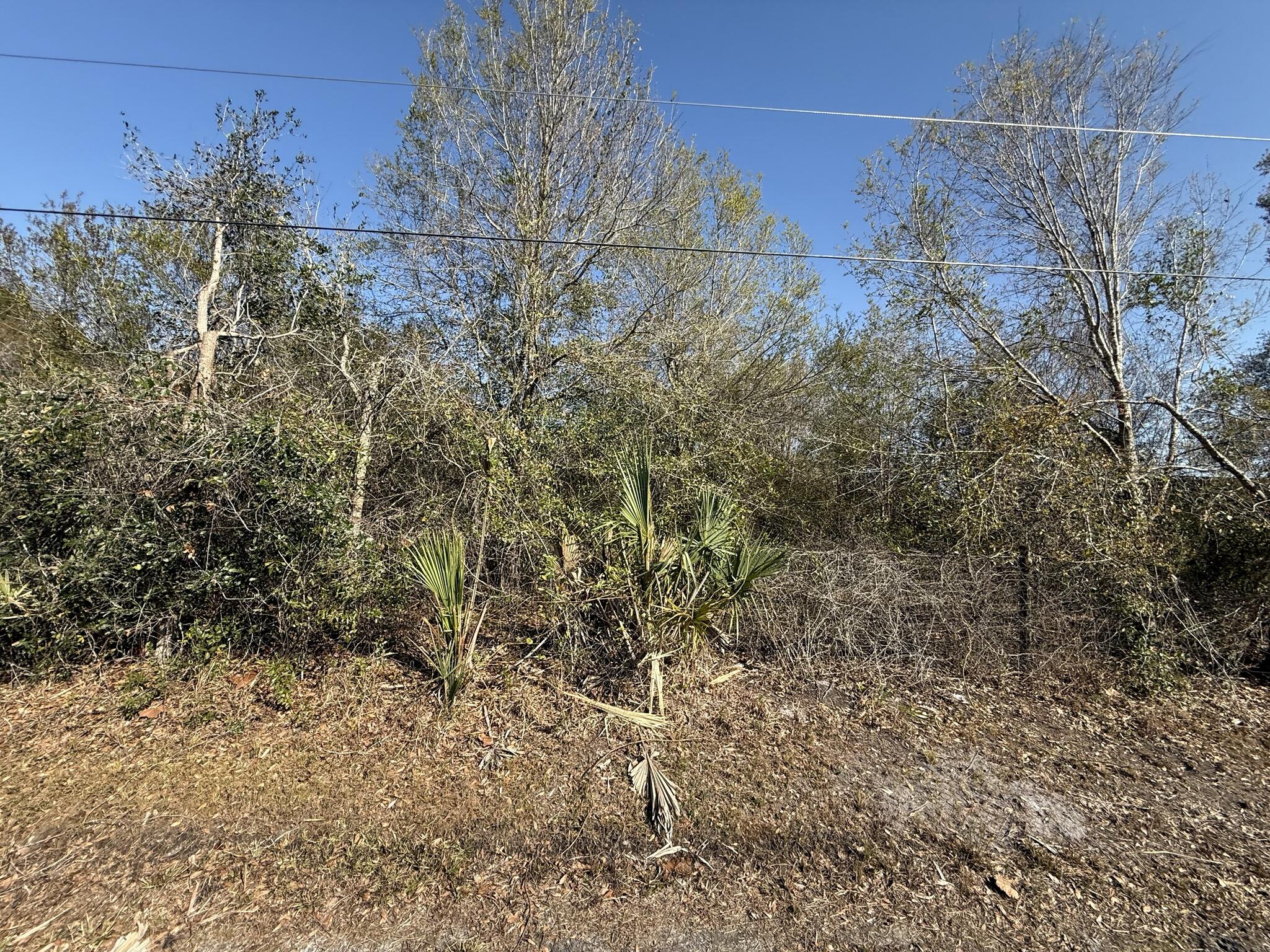 COUNTRY MEADOWS - Land