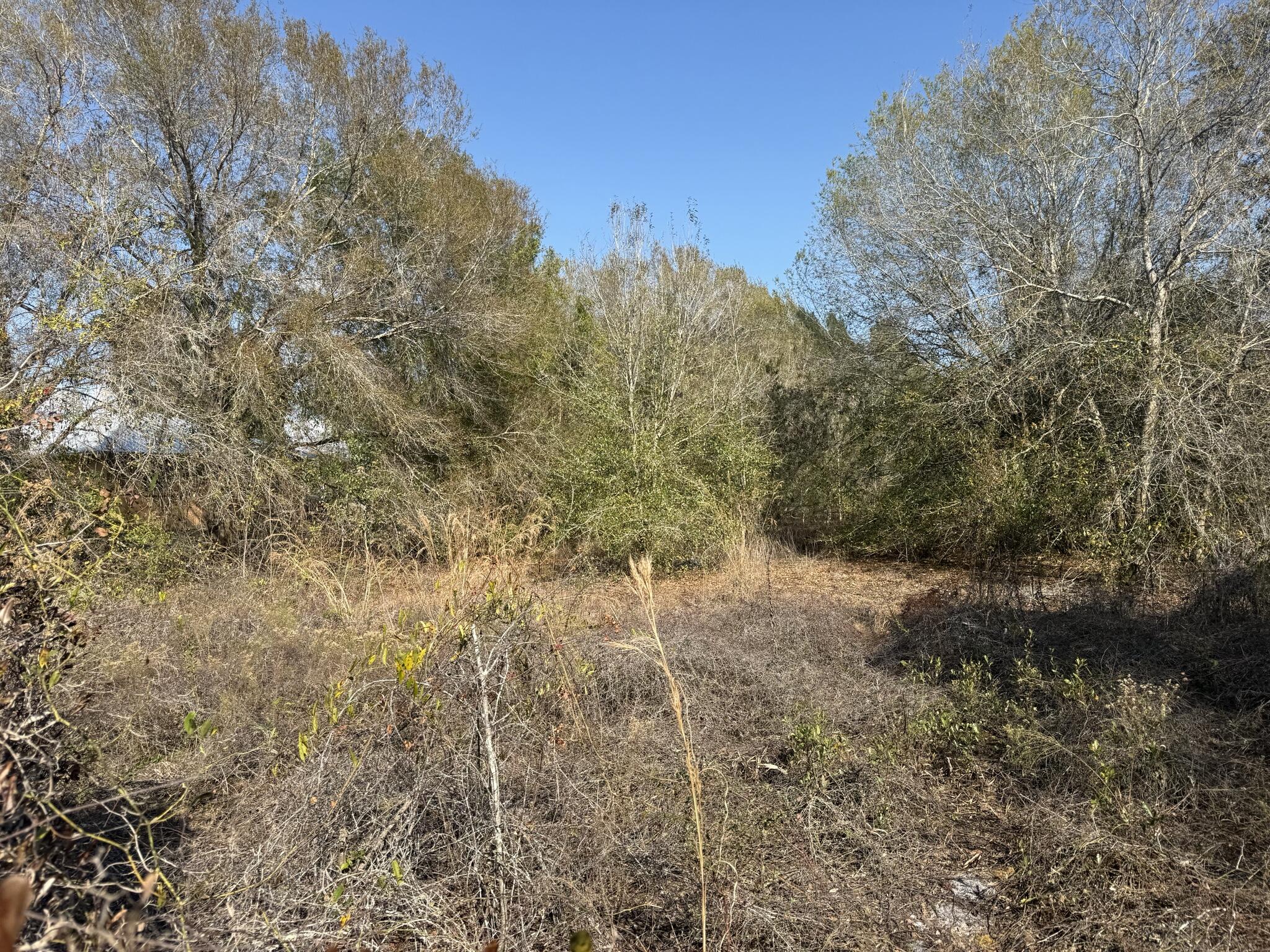 COUNTRY MEADOWS - Land