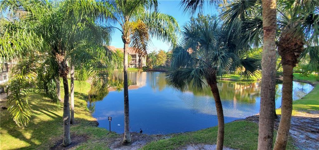 EDGEWATER CONDO - Residential Lease