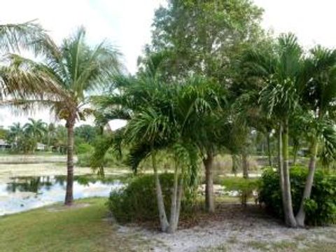A home in West Palm Beach