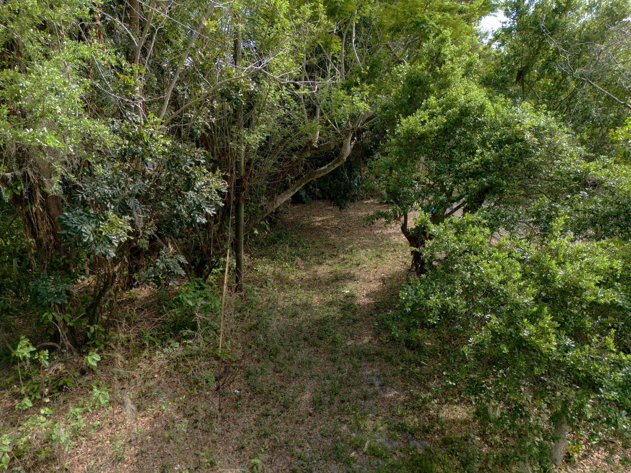 THE TROPICS REVISED - Land