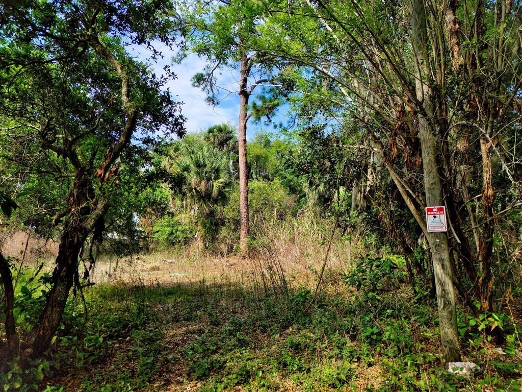 Photo of 1202 Australian Avenue, Fort Pierce, FL 34982 (MLS # B26011344)