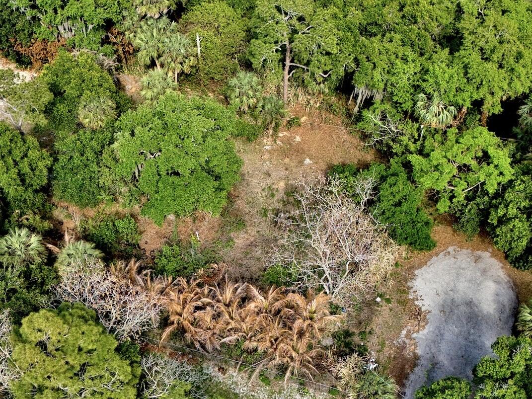 THE TROPICS REVISED - Land