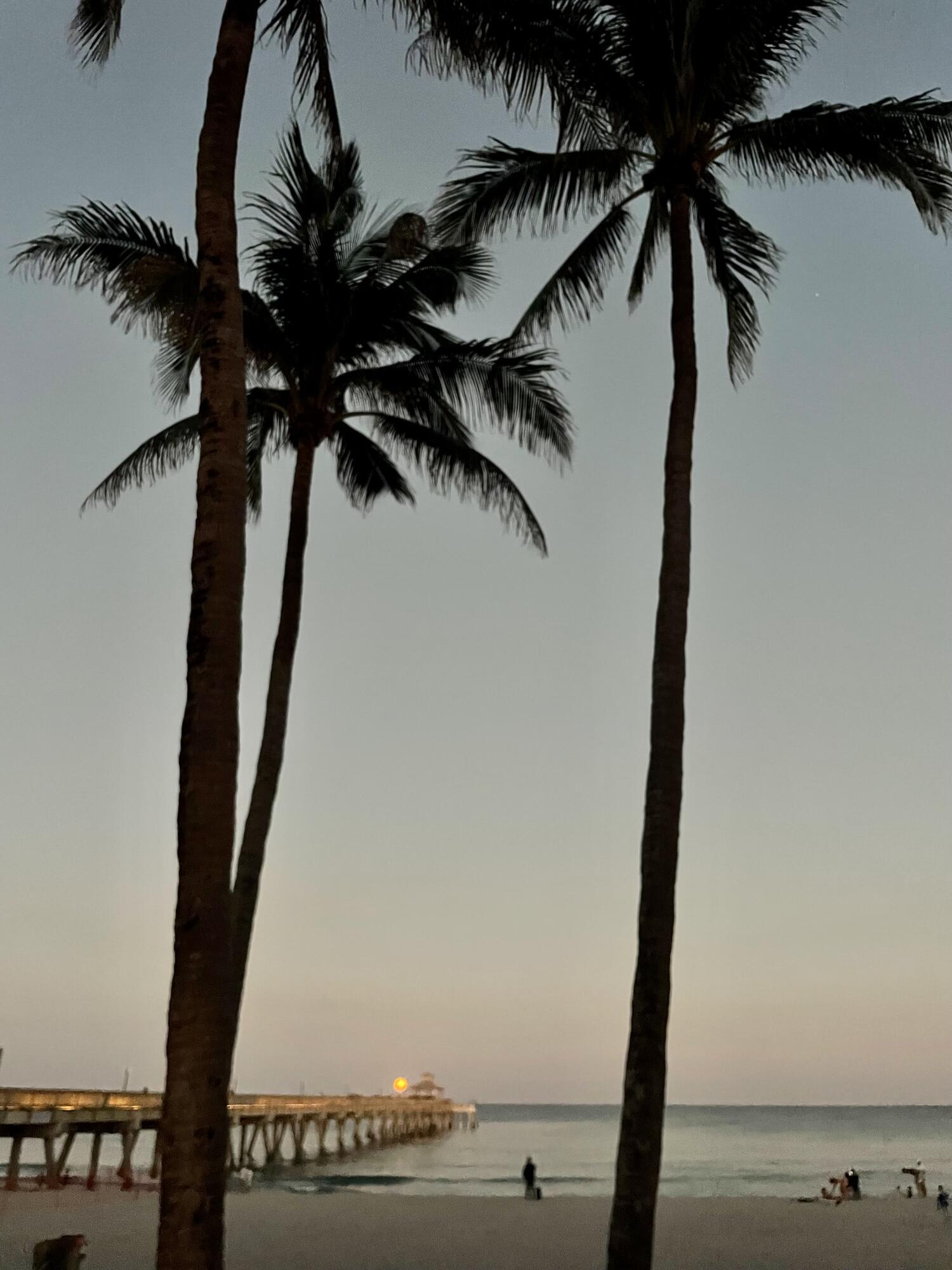 BROOK HAVEN OF BOCA RATON - Residential