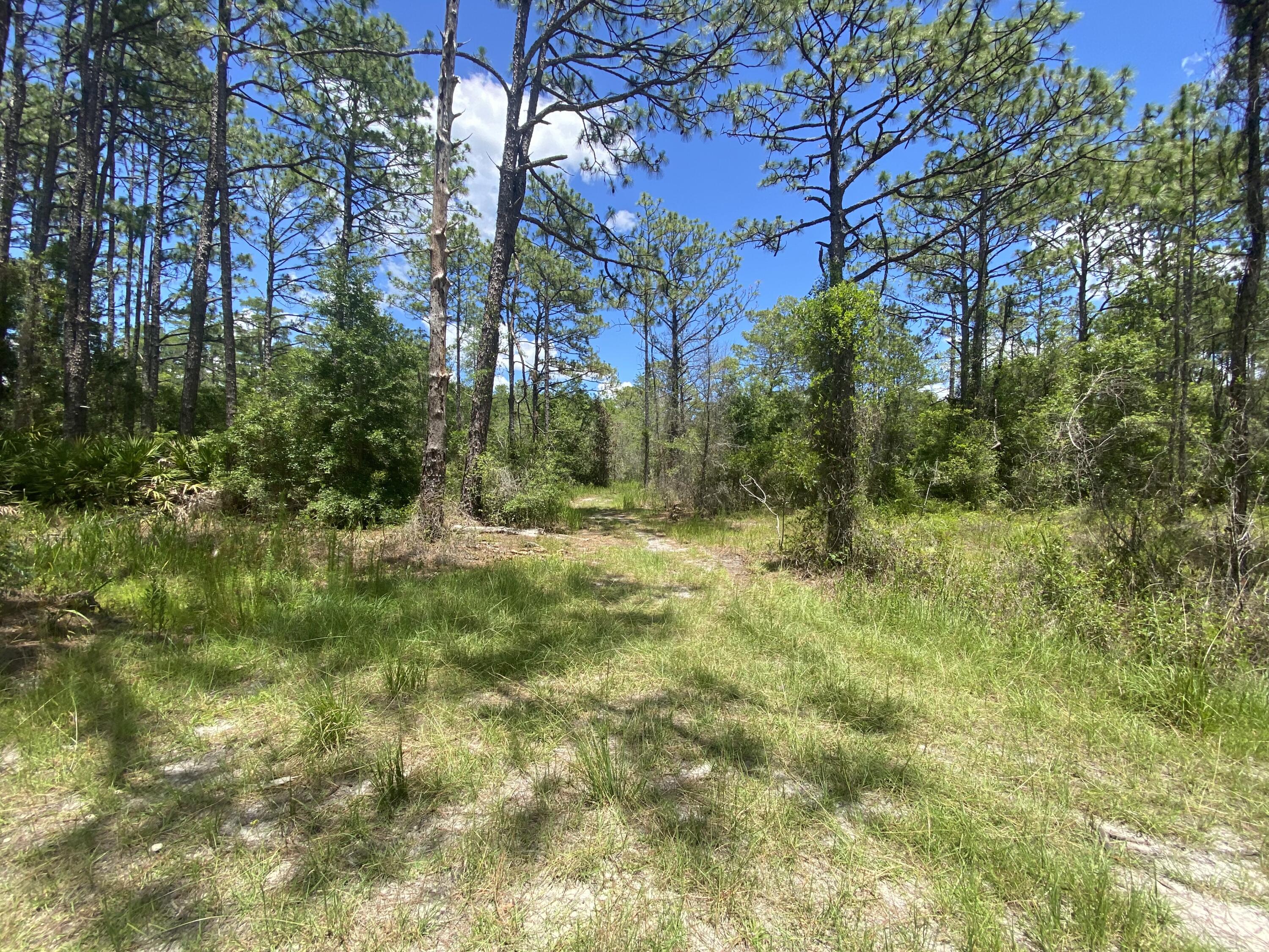 Build or bring your dream home and barn on this beautiful and private high and dry 1 acre lot This property is conveniently located near shopping, restaurants, medical facilities and minutes away from the bike trail.! Hurry, this lot WILL NOT LAST!!! No HOA, CDD, or Deed Restrictions...Owner financing available