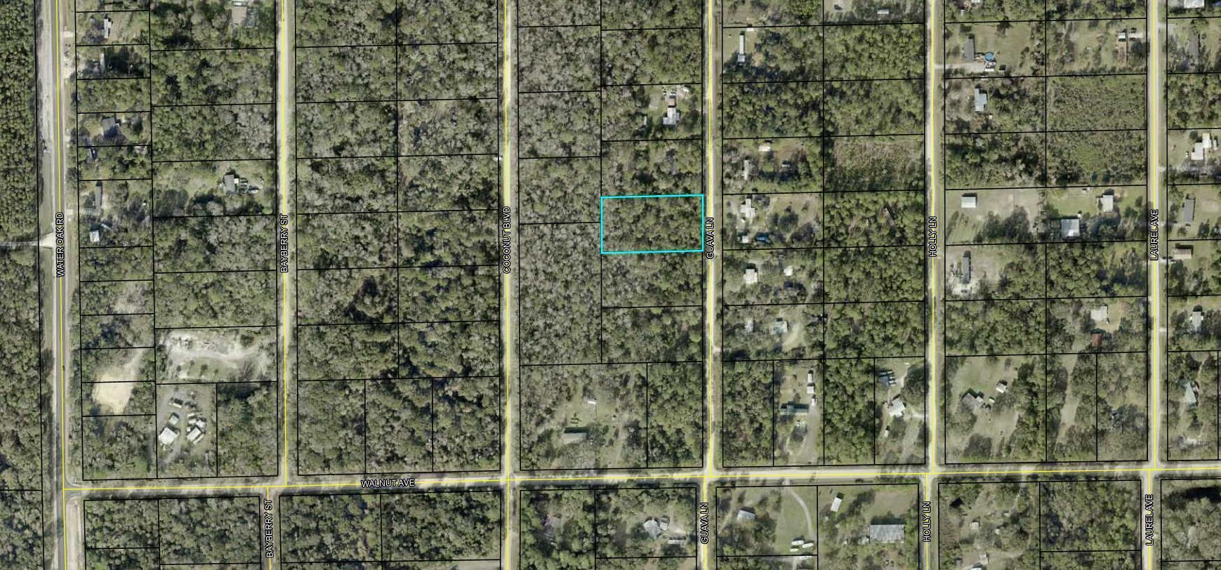 Don't miss the opportunity to own 1.14 acres in the Daytona North Community just off the paved road. It's close to shopping, schools, and restaurants, and only a 25-minute drive to the beautiful Flagler Beach. Looking to purchase property in Florida, look no further. Buying Land in Florida is a solid investment for your future.