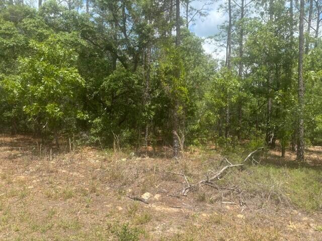 CITRUS SPRINGS UNIT 26 - Land