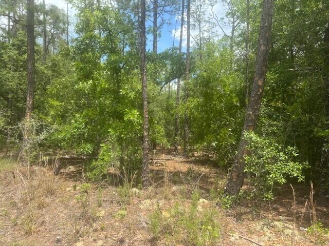 CITRUS SPRINGS UNIT 26 - Land