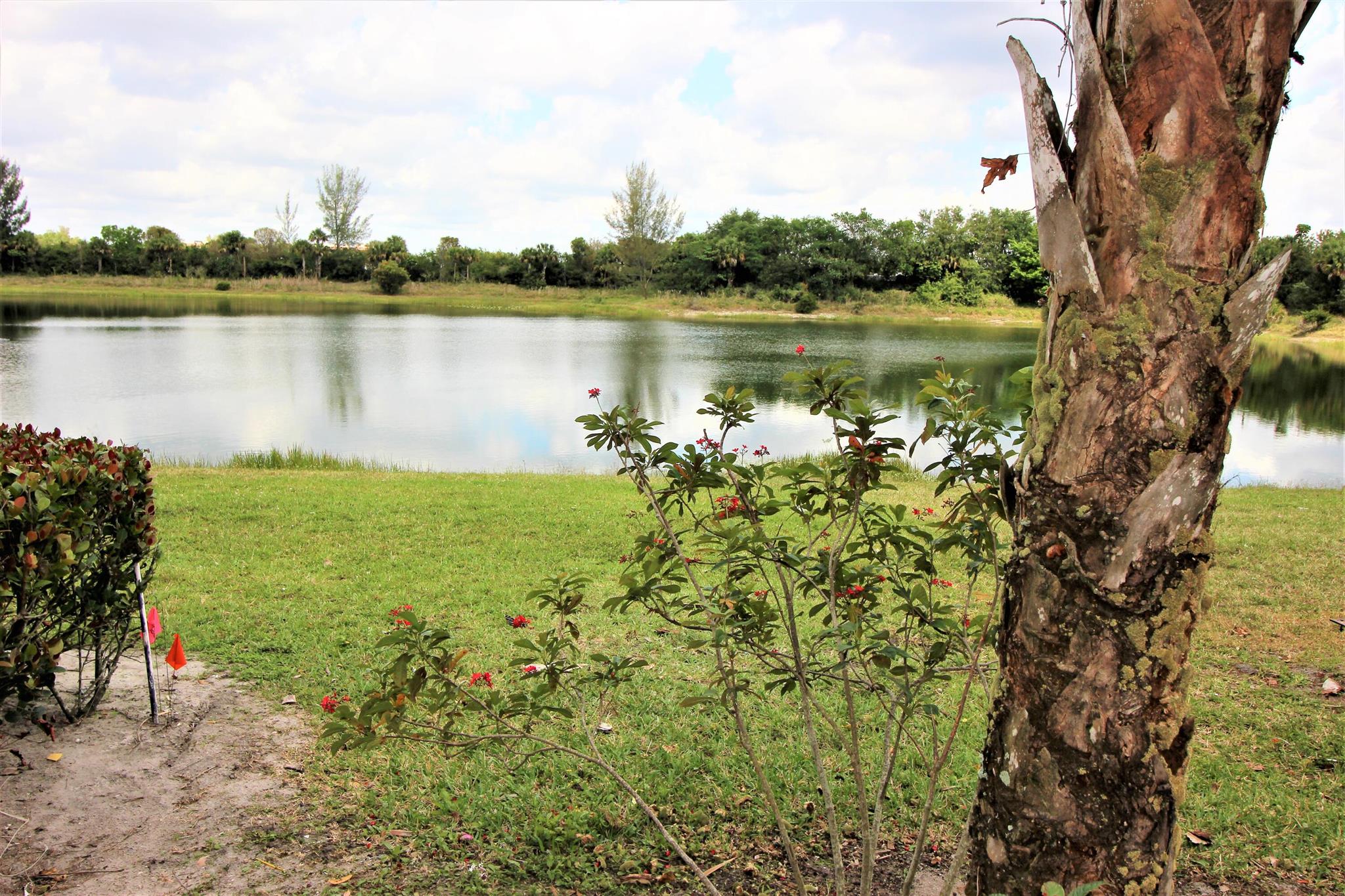 BELVEDERE ISLES CONDO NO 3 - Residential Lease