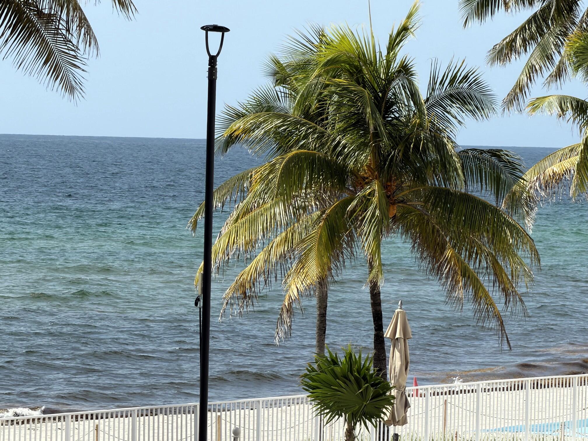 2101 S Ocean Drive 505