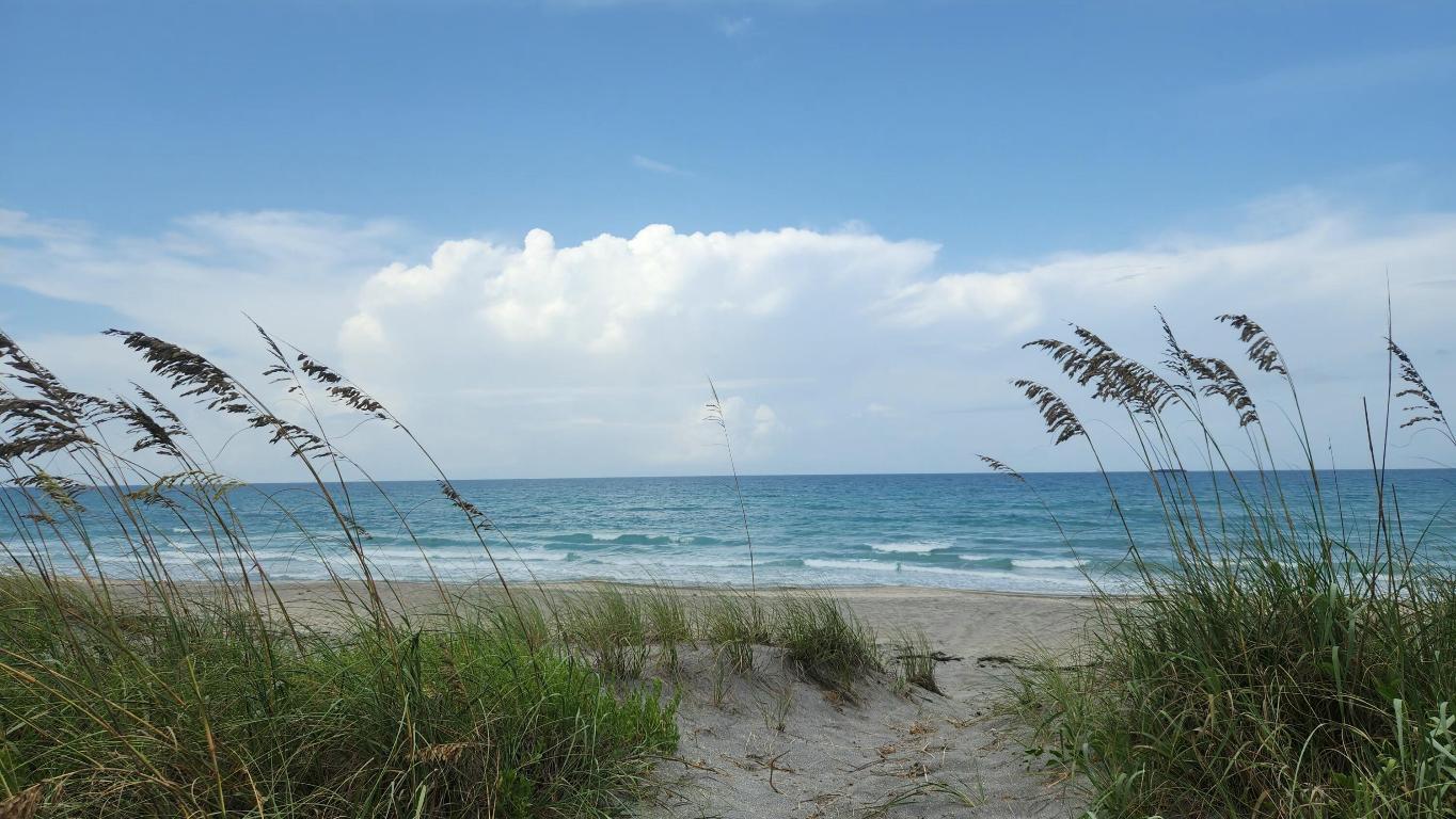 OLYMPUS - Residential