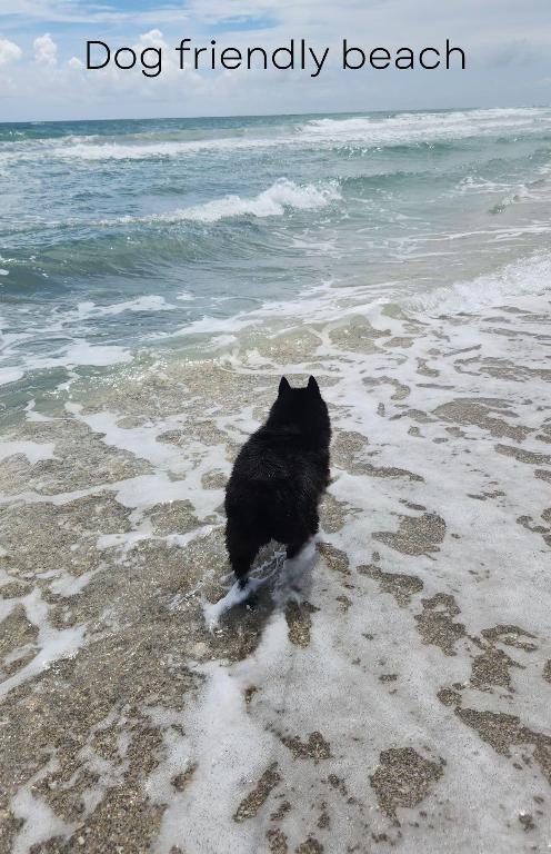 OLYMPUS - Residential