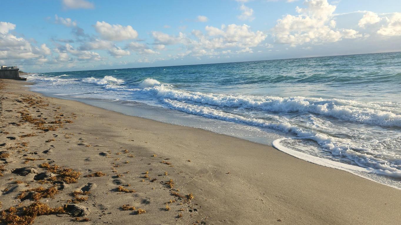 OLYMPUS - Residential