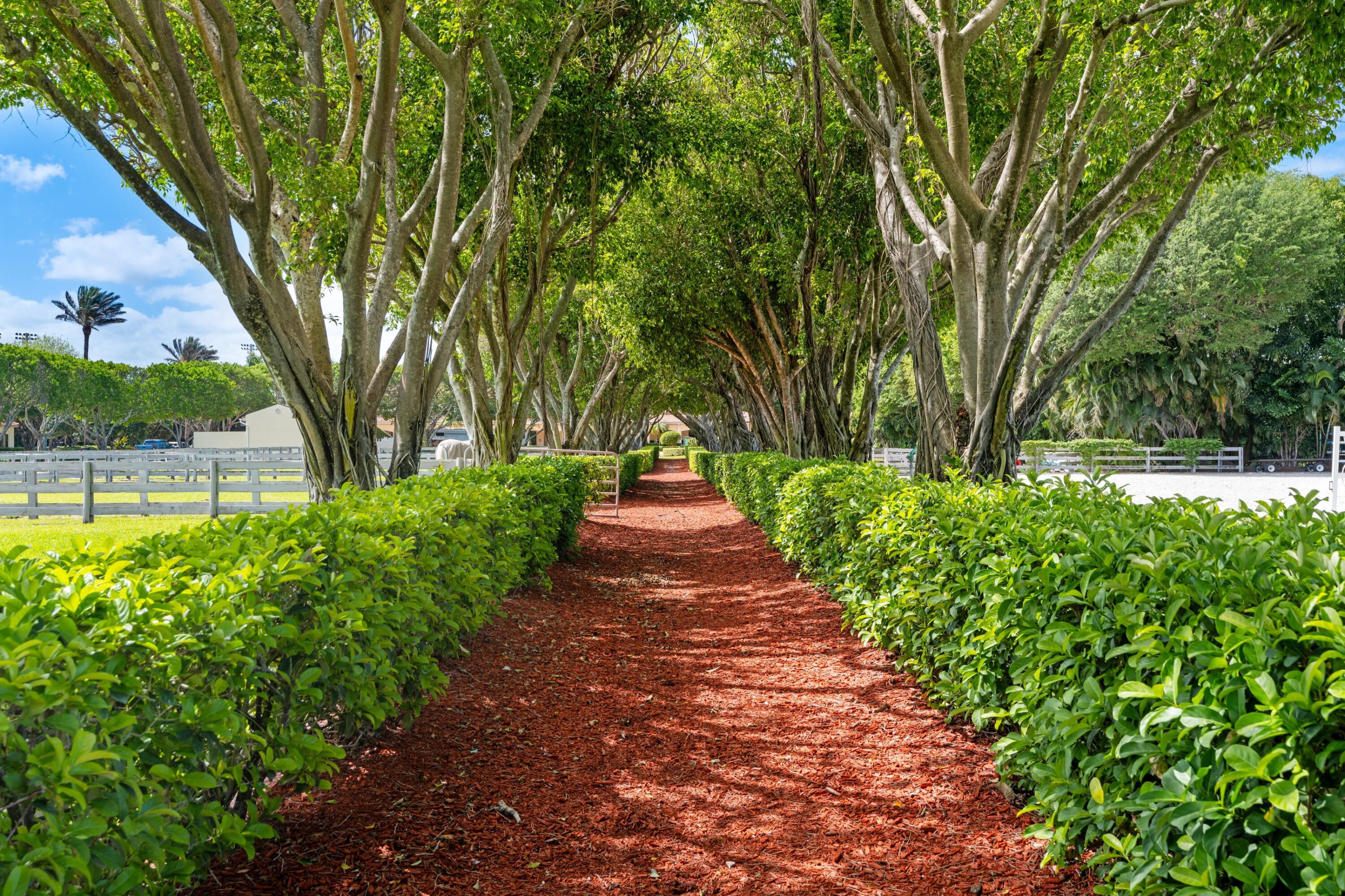 PALM BEACH POLO EQUESTRIAN CLUB - Residential