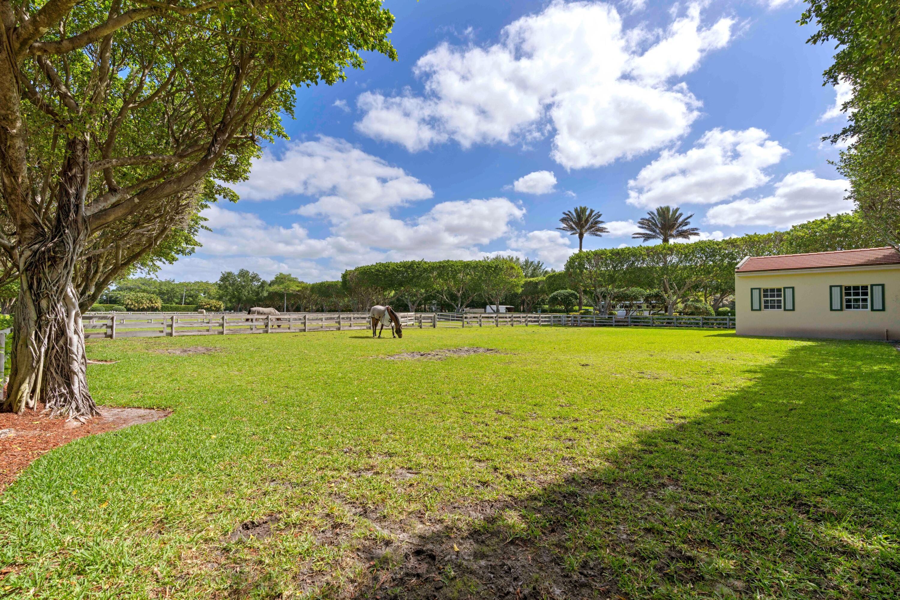 PALM BEACH POLO EQUESTRIAN CLUB - Residential