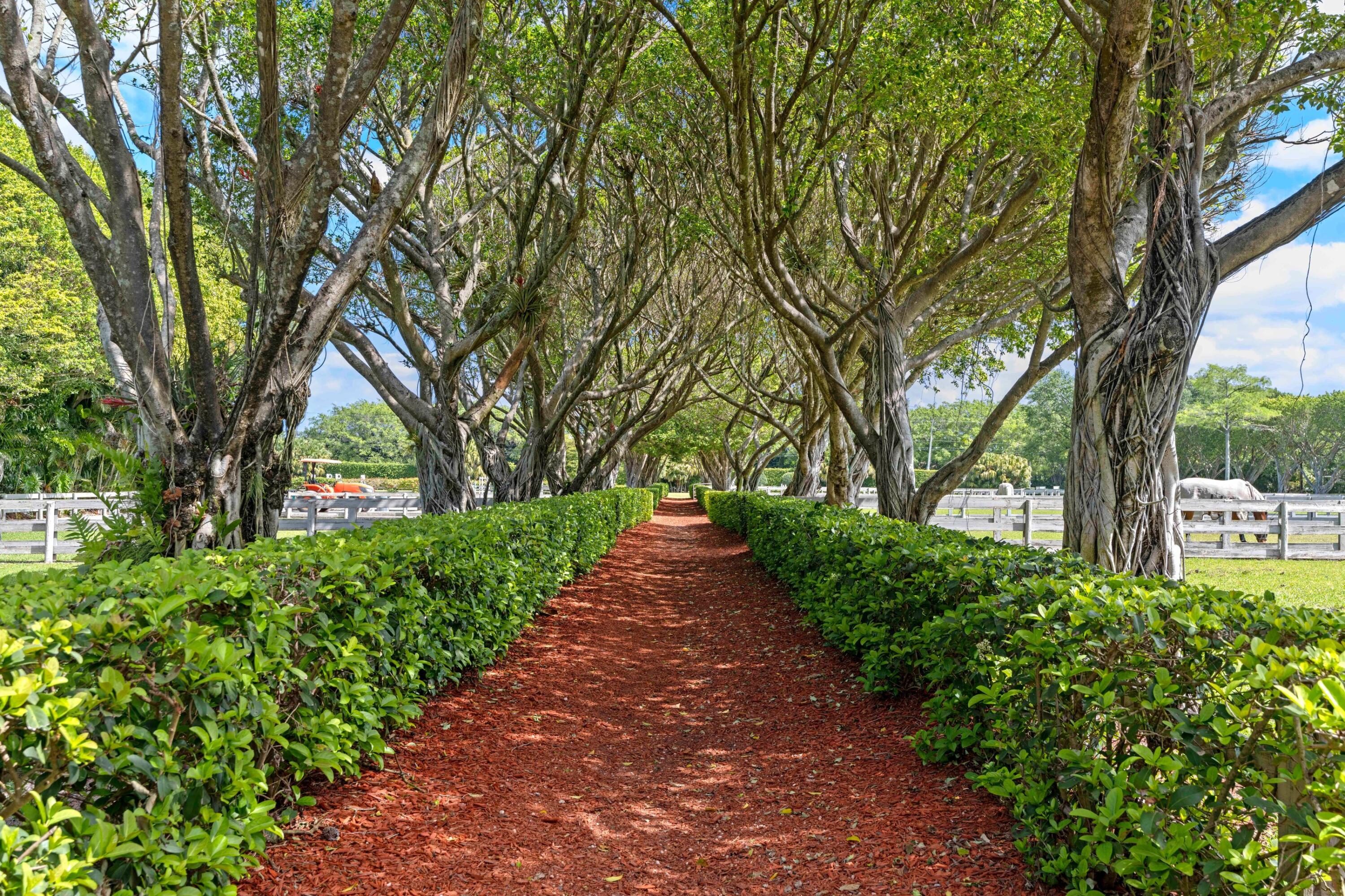 PALM BEACH POLO EQUESTRIAN CLUB - Residential