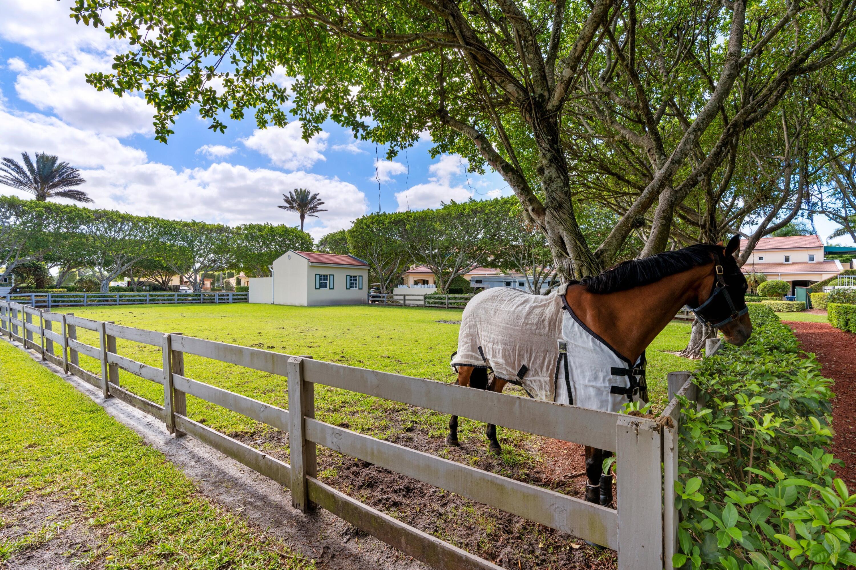 PALM BEACH POLO EQUESTRIAN CLUB - Residential