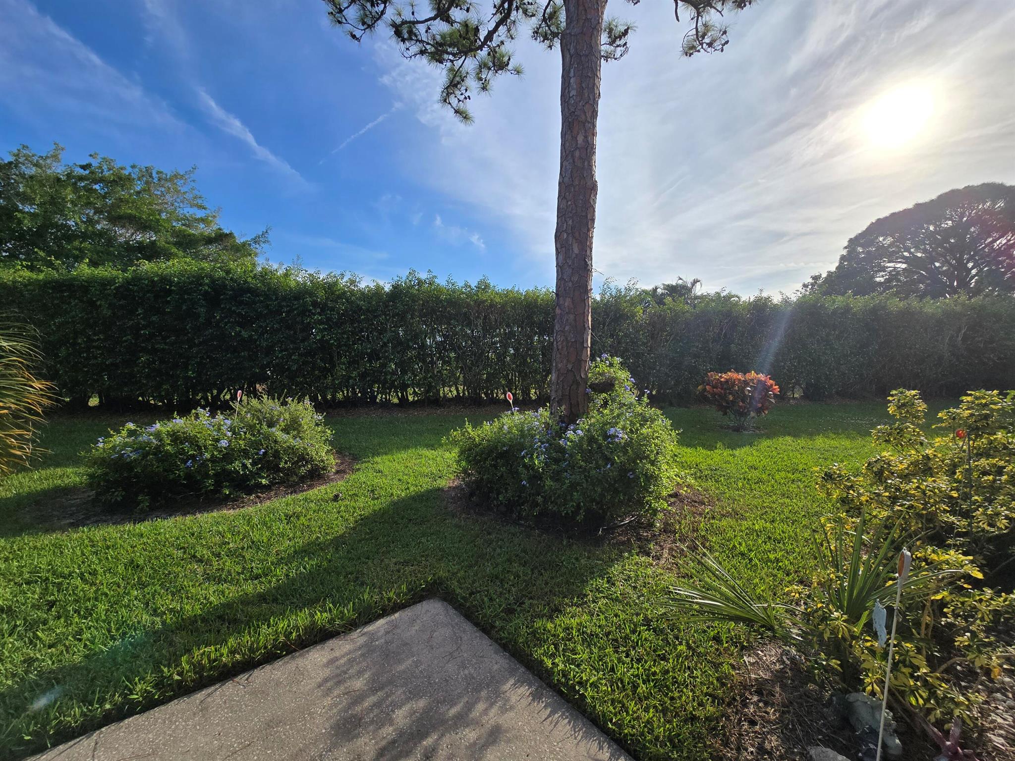 PINE RIDGE IV CONDO - Residential Lease