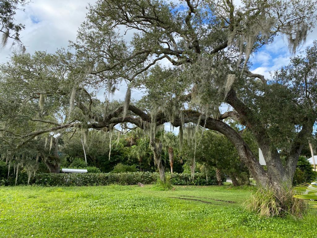 ORCHID ISLAND NO 2 - Land