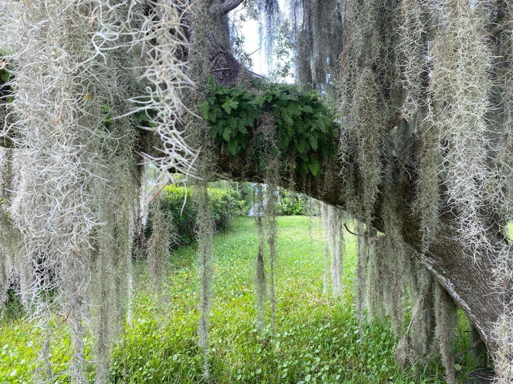 ORCHID ISLAND NO 2 - Land