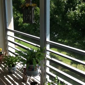 LAKE CLARKE GARDENS CONDO 5 - Residential