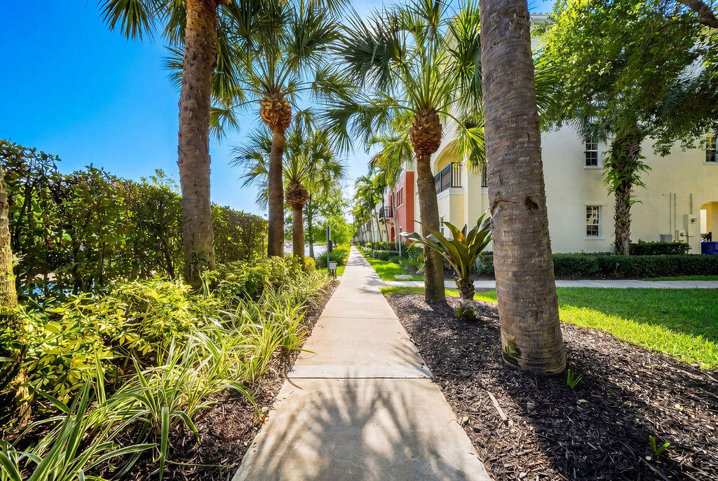 CYPRESS GROVE - Residential