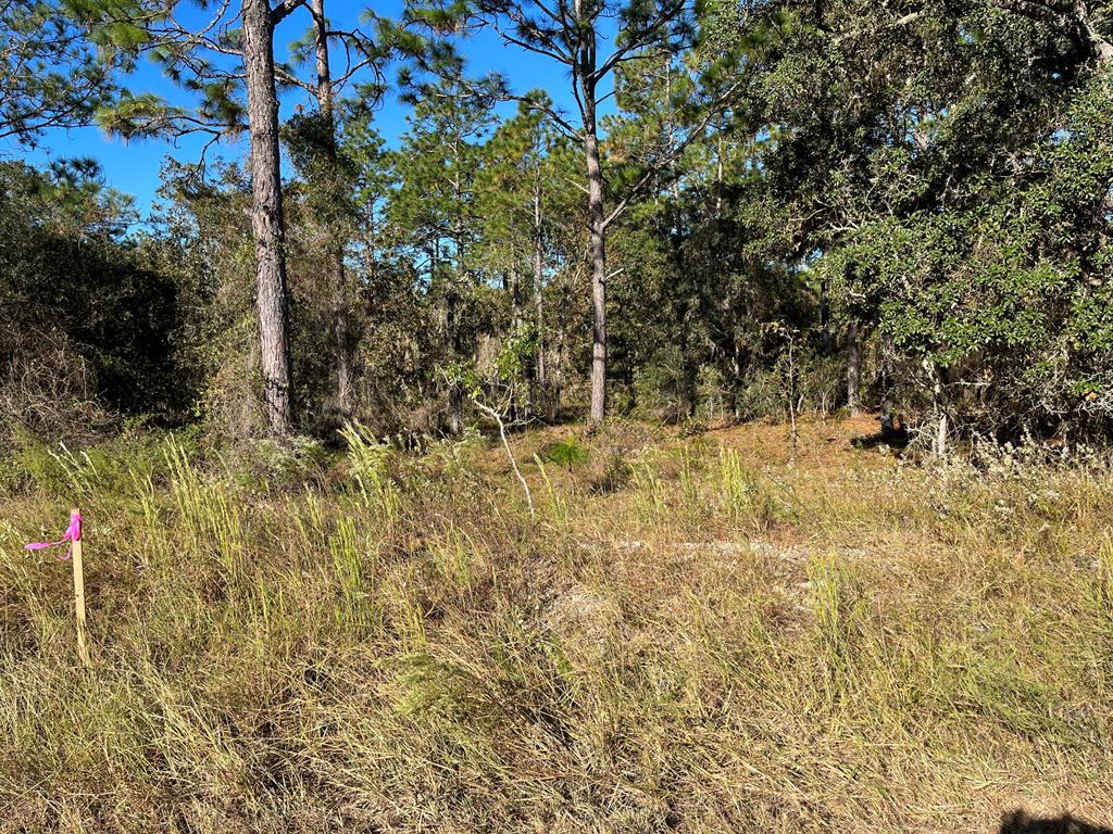 VERY NICE CORNER WOODED LOT TO BUILD YOUR DREAM HOME ON 1 Acre IN THE BEAUTIFUL COMMUNITY OF RAINBOW ACRES. IN AN AREA OF NEW HOMES. WITH A HOME ALEADY NEAR BY FOR EASY ACCESS TO POWER, BUT STILL VERY PRIVATE CONVENIENT TO DOWNTOWN DUNNELLON WHERE YOU WILL FIND RESTAURANTS, SHOPPING AND ANTIQUE SHOPS, OCALA, GAINESVILLE, CRYSTAL RIVER, GULF OF MEXICO AND THE BEAUTIFUL . Rainbow Springs State Park is just a short drive away where you can enjoy nature walks among the mature azaleas, bird watching, kayaking and swimming at the head of this pristine first magnitude spring. Whether your looking to build your dream home or purchase as a future investment this property checks all the boxes. owner financing available.