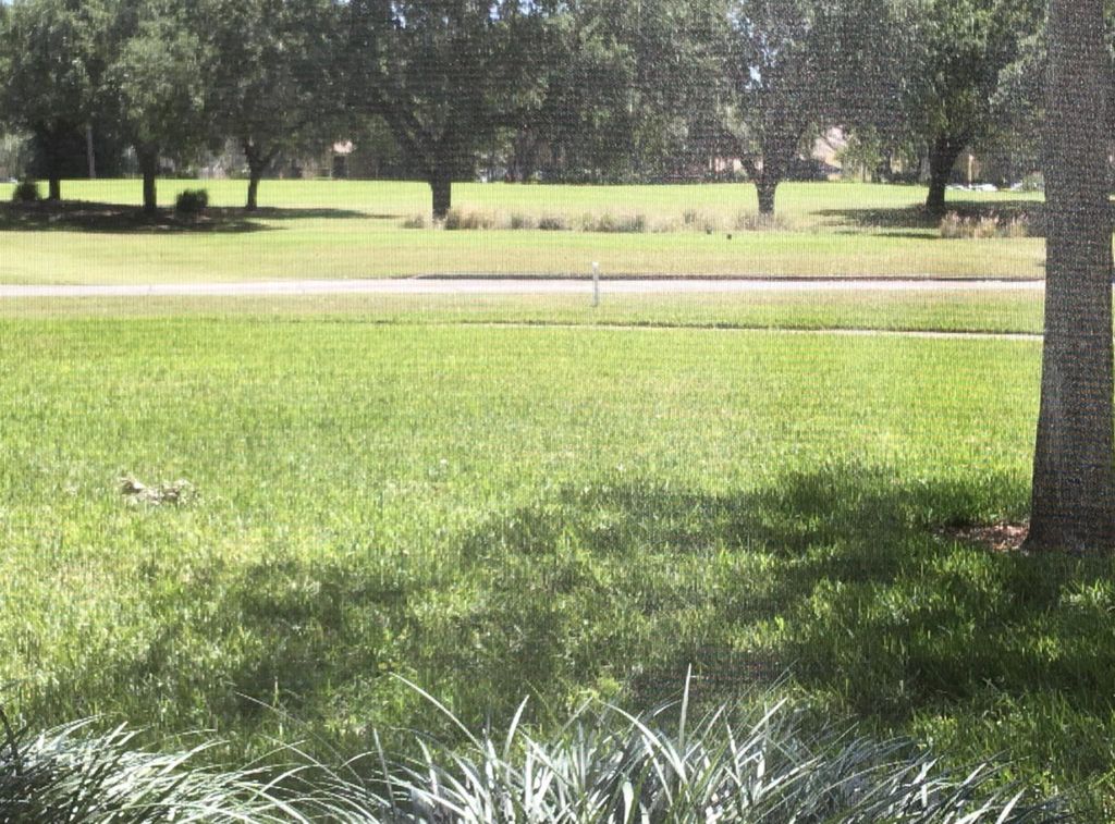 Photo of 2403 Bridgewood Drive, Boca Raton, FL 33434 (MLS # R11130045)