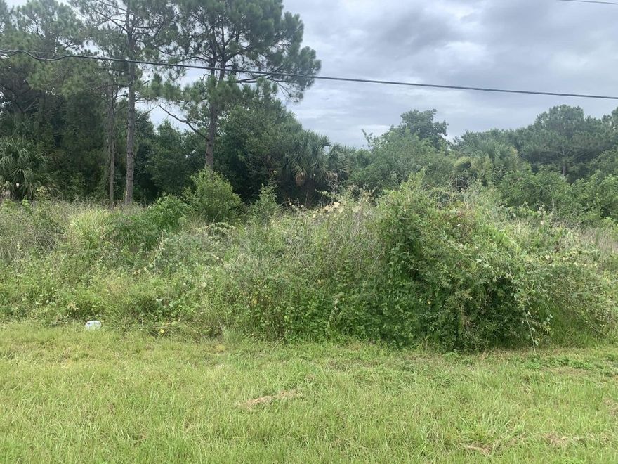 Over an acre on 98 with 350' of paved road frontage. Zoned Commercial. Drive by or schedule a showing. Owner financing $25k downFuture Land UseCOMMERCIAL CORRIDOR MIXED USE