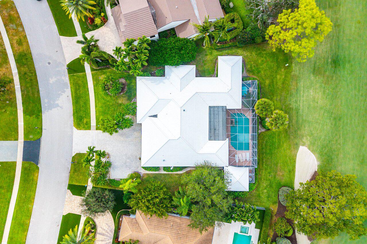 4705 Tree Fern Drive