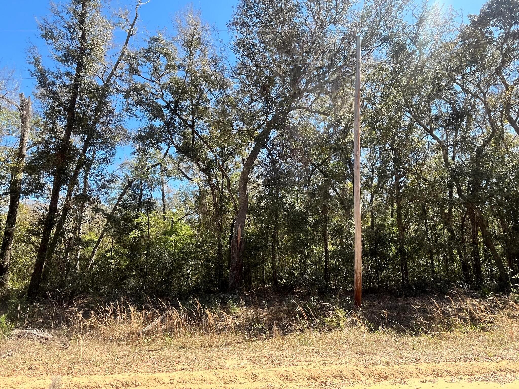 Tbd Walker Drive
