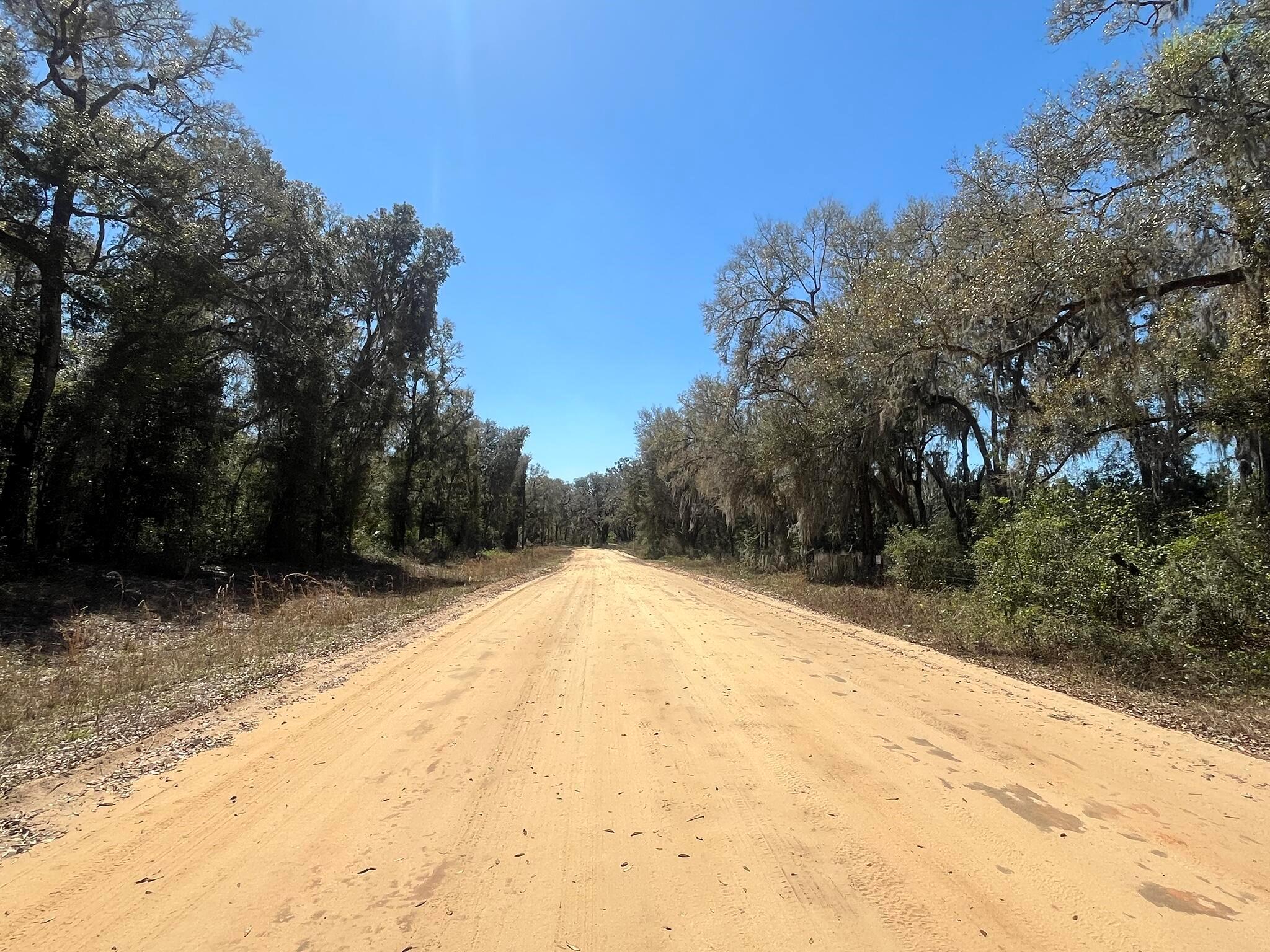 Tbd Walker Drive