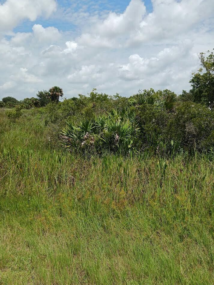 Close to Yeehaw Junction and the Florida Turnpike. Enjoy the countryside and surround yourself in nature and a peaceful environment away from the city. No HOA fees Due diligence is the buyers responsibility
