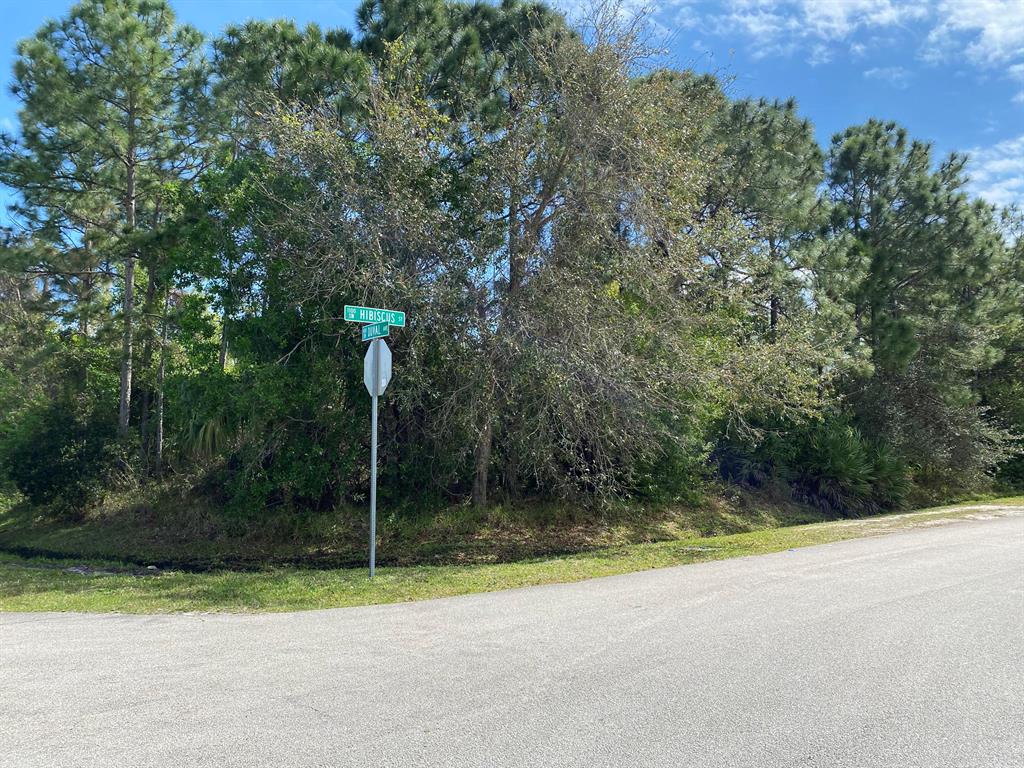 Photo of 474 SW Duval Avenue, Port Saint Lucie, FL 34983 (MLS # R10695895)