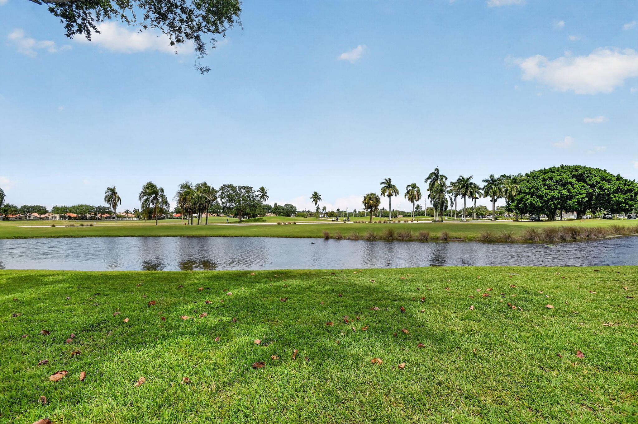 LAKERIDGE GREENS - Residential