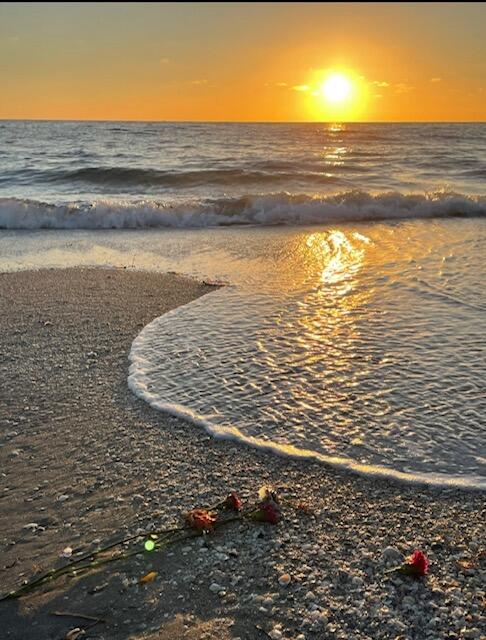 VILLA DEL SOL CONDOMINIUM - Residential Lease