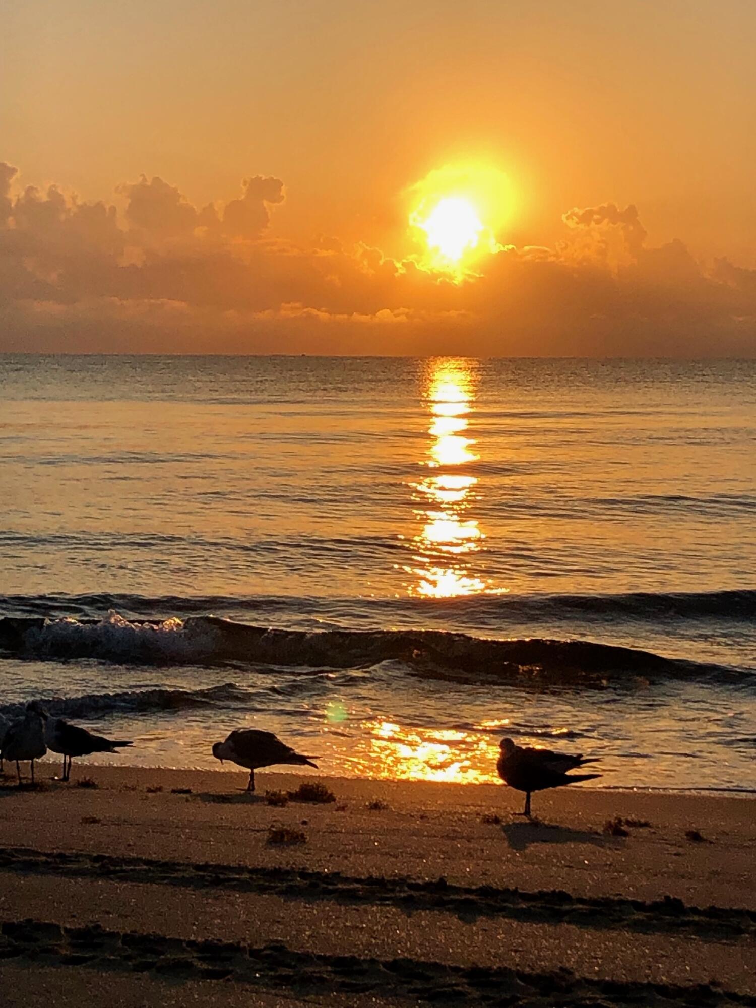 VILLA DEL SOL CONDOMINIUM - Residential Lease