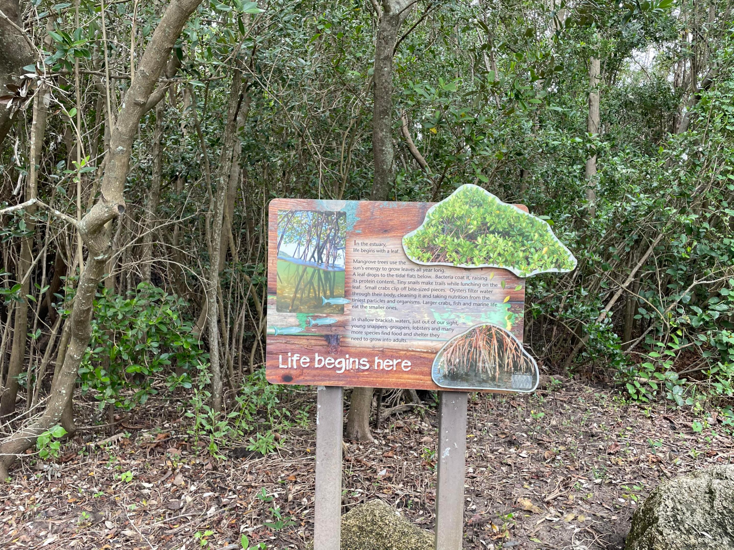 VILLA DEL SOL CONDOMINIUM - Residential Lease