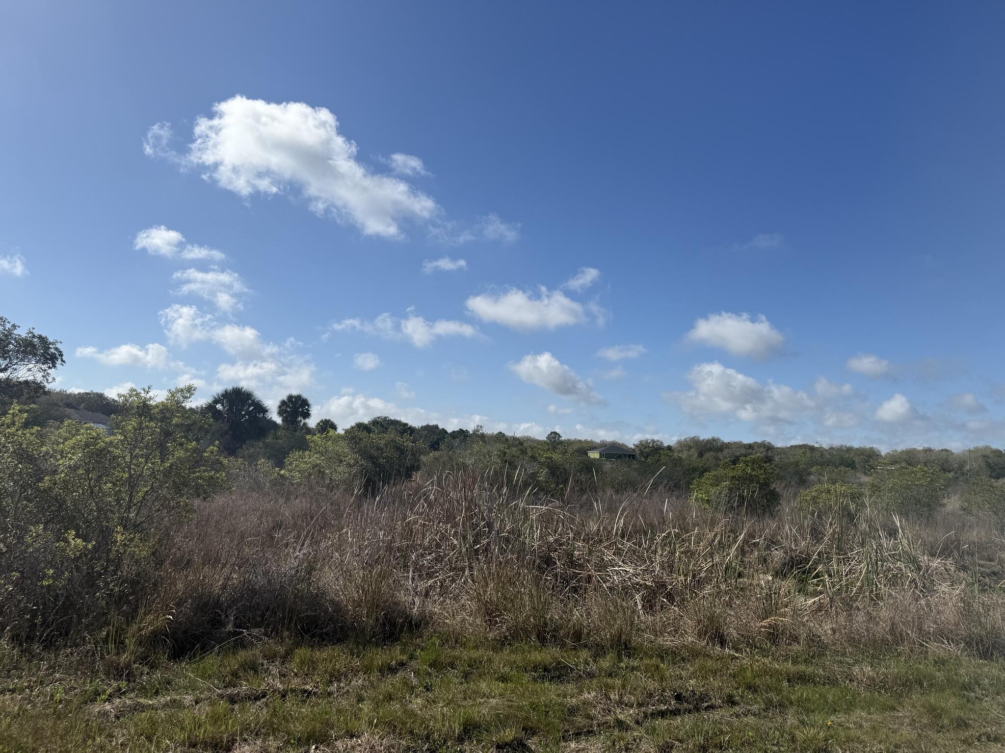 SOUTHERN COLONIZAT CO - Land