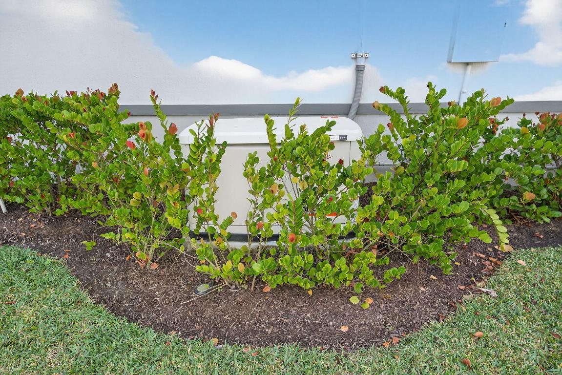 AVENIR SITE PLAN 3 POD 6 - Residential Lease