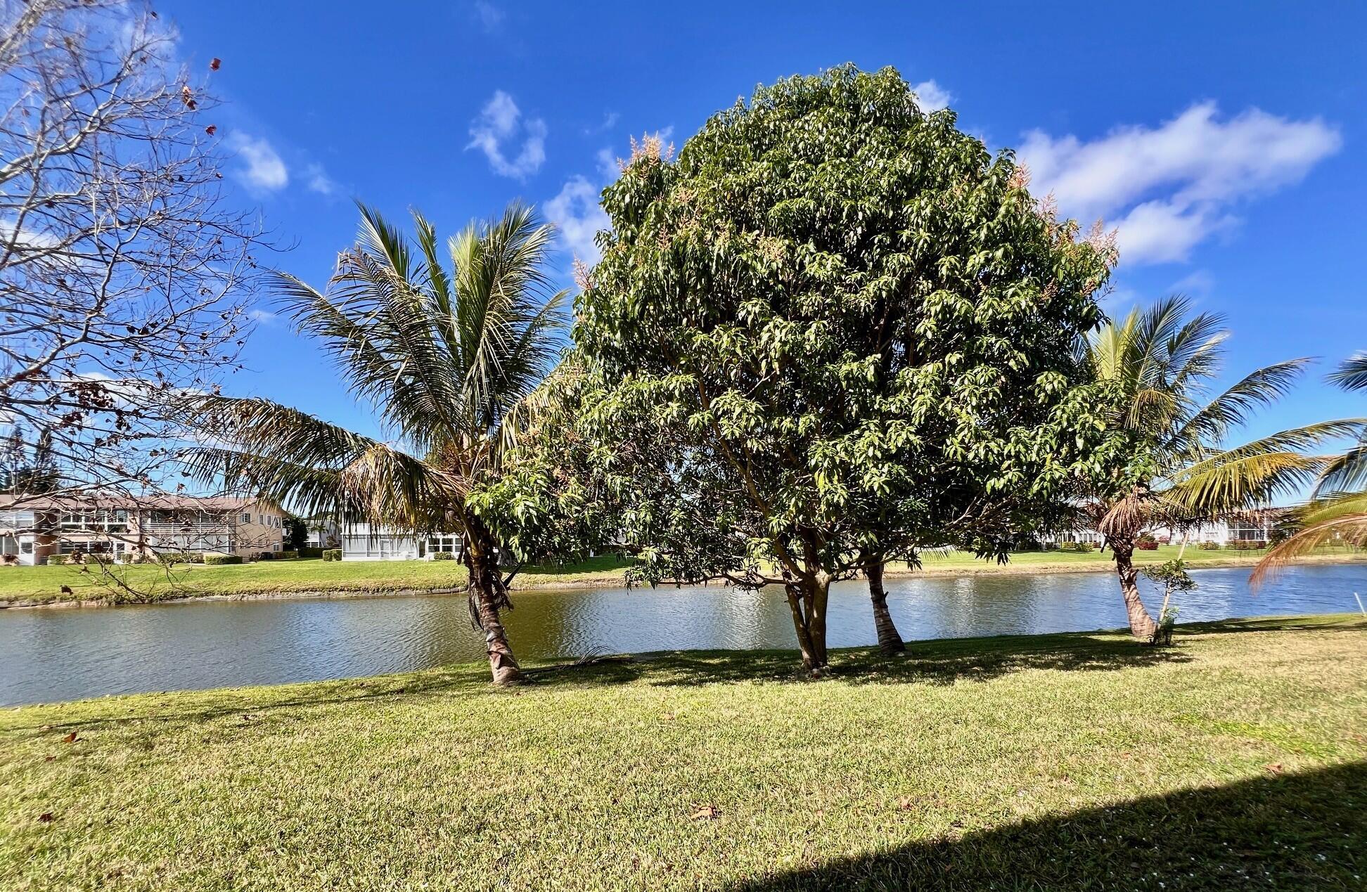 Highly Desirable First Floor 2/1.5 With Wonderful Water Views! Fantastic Location Close to the Haverhill Entrance and Main Clubhouse! This unit is ready for you to make your own! It features a wonderful floor plan, great water views and a gorgeous resident patio. This light and bright unit has a large living room, central AC, a relaxing lanai & a beautiful private patio overlooking the water. This is your own quiet oasis! Screened Lanai Is A Delightful Spot to Take In The Fresh Air and Breezes. Century Village is a 55+ community with so much to offer...shows, movies, clubs, pools, security, and transportation service. The Clubhouse features a theater, indoor pool, card room, community/party room, billiard room, shuffleboard, tennis, pickleball, bocce, and many outdoor pools.