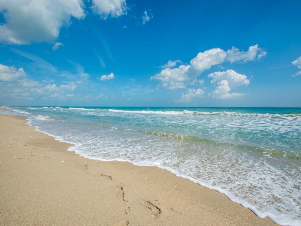 OCEAN HARBOUR SOUTH CONDOMINIUM - Residential