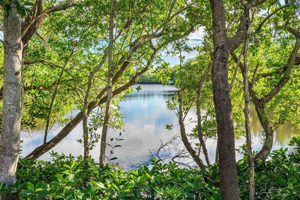 Seminole Landing - Residential