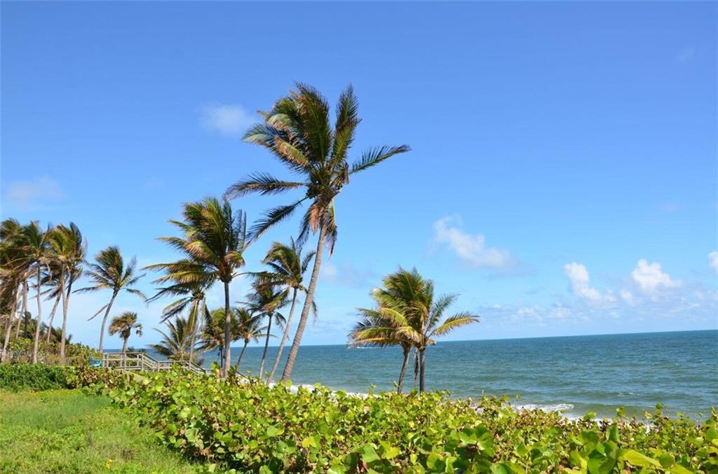 Hillsboro Mile - Land